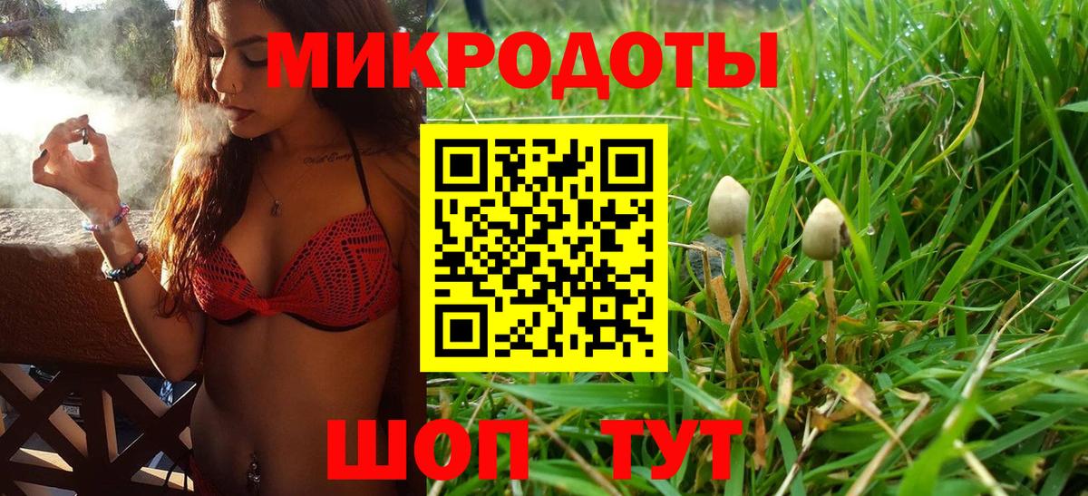 Галлюциногенные грибы MAGIC MUSHROOMS Череповец