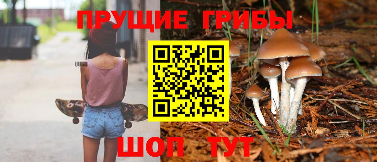Череповец  Галлюциногенные грибы Psilocybe  Вход с VPN 